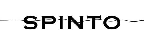 SPINTO